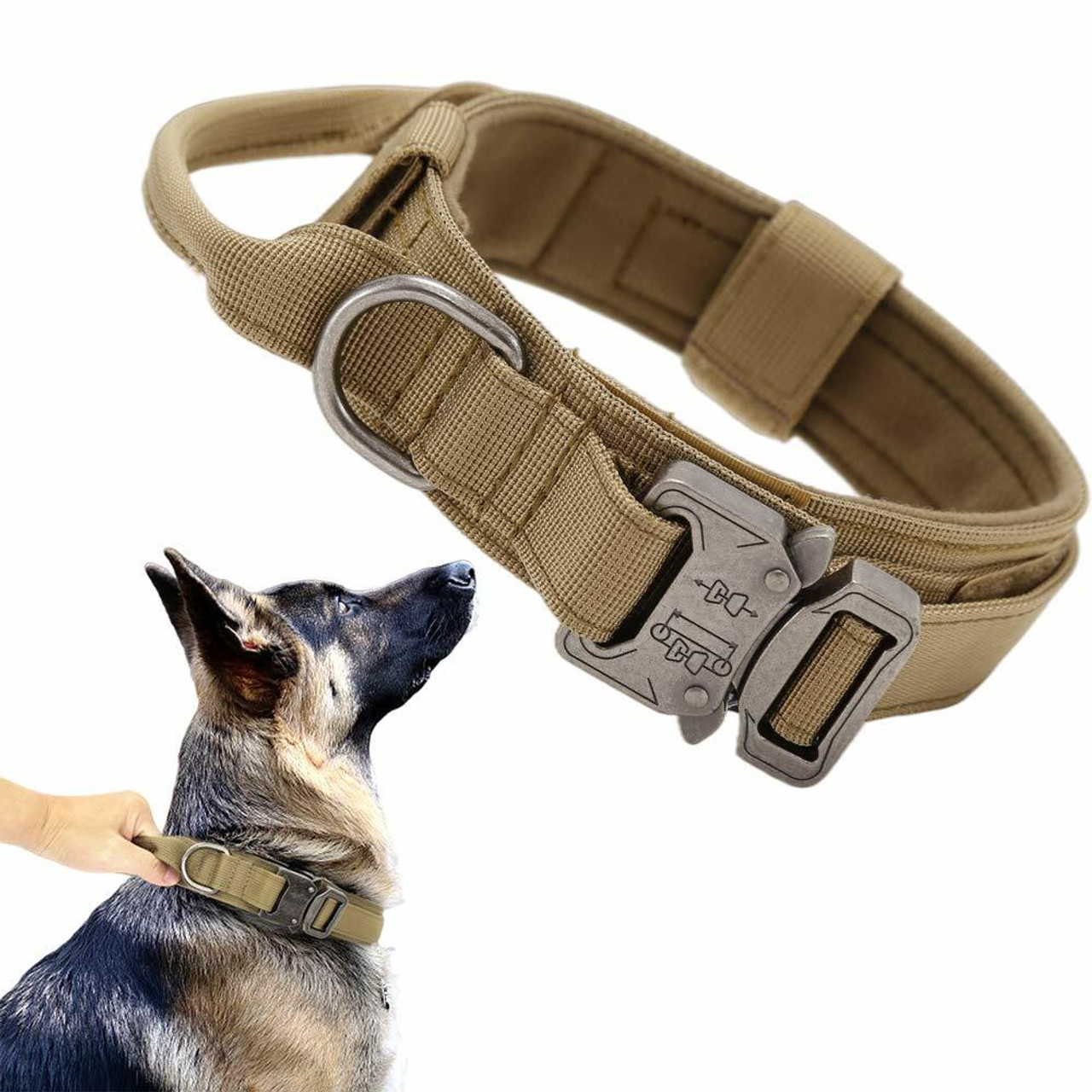 Dog Collar