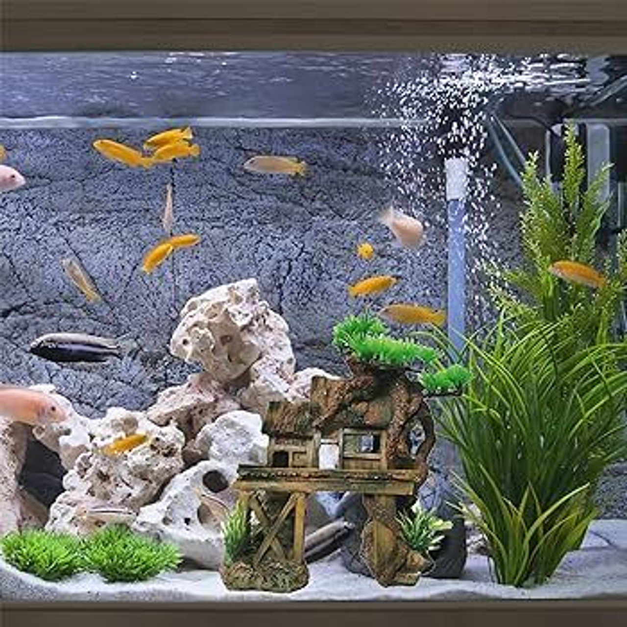 Tank Decor