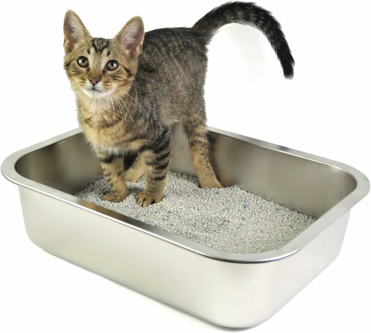 Litter Boxes & Pans