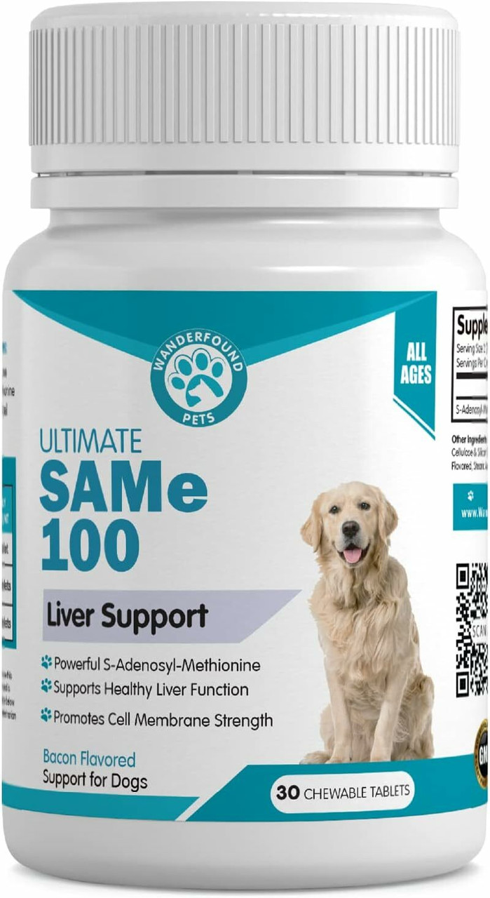 Liver Support Supplements