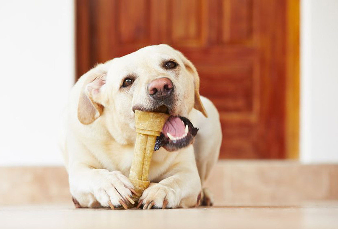 Bones, Bully Sticks, & Natural Chews