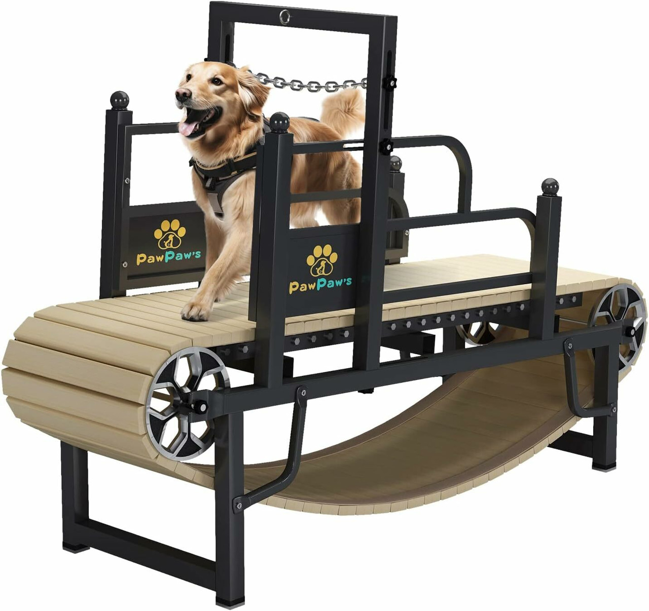 Pet Treadmill