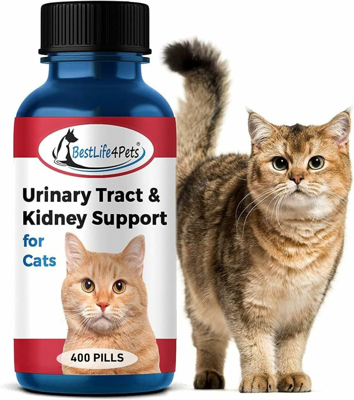 Urinary Tract & Bladder Support