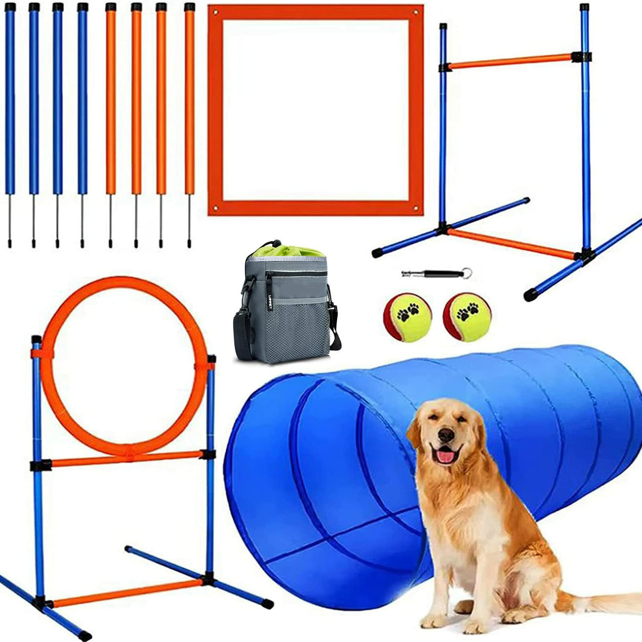 Dog Training Accessories