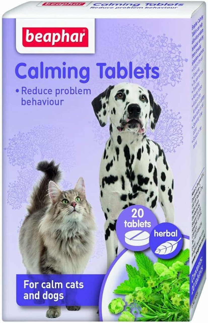 Calming Solutions for Cats