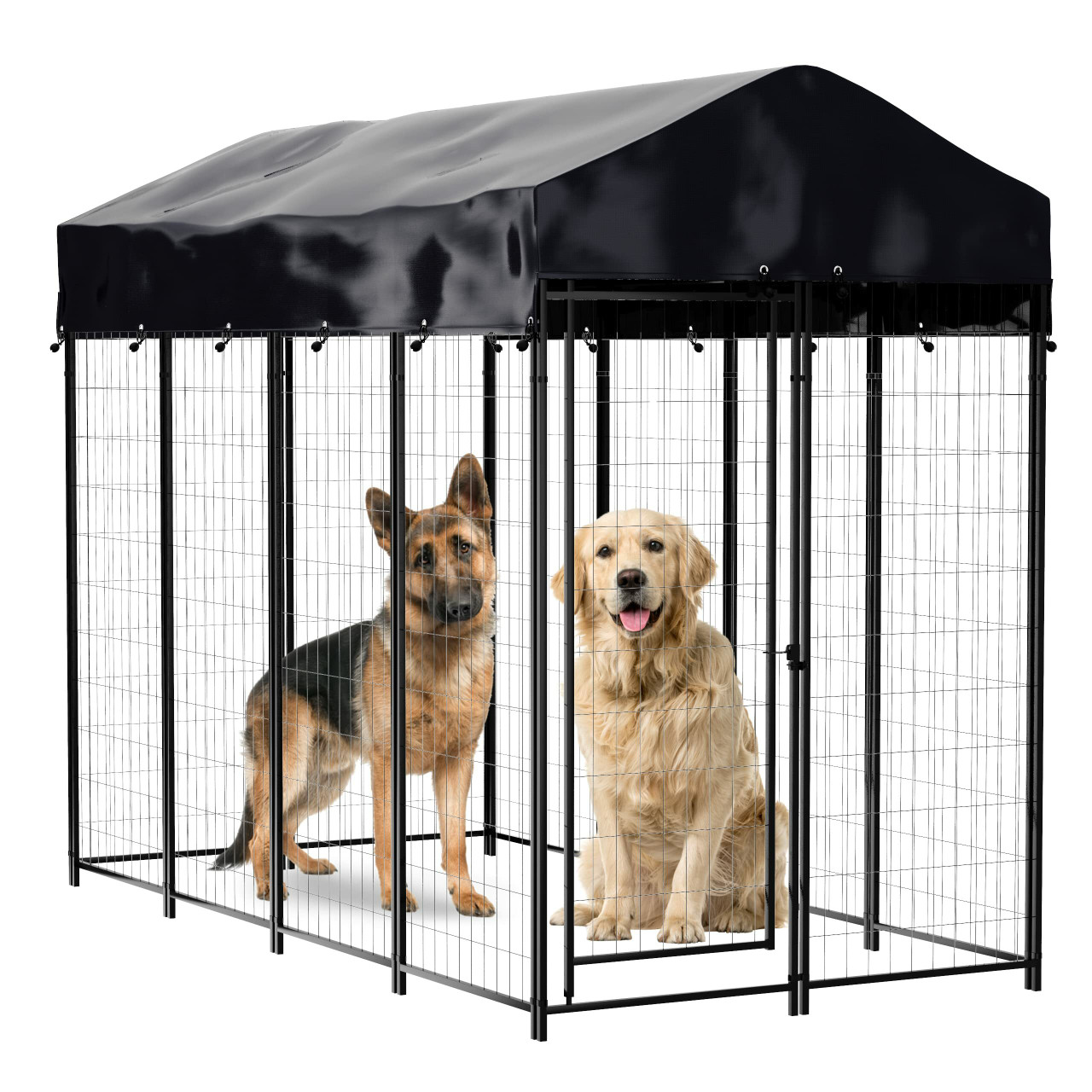 Crates & Kennels