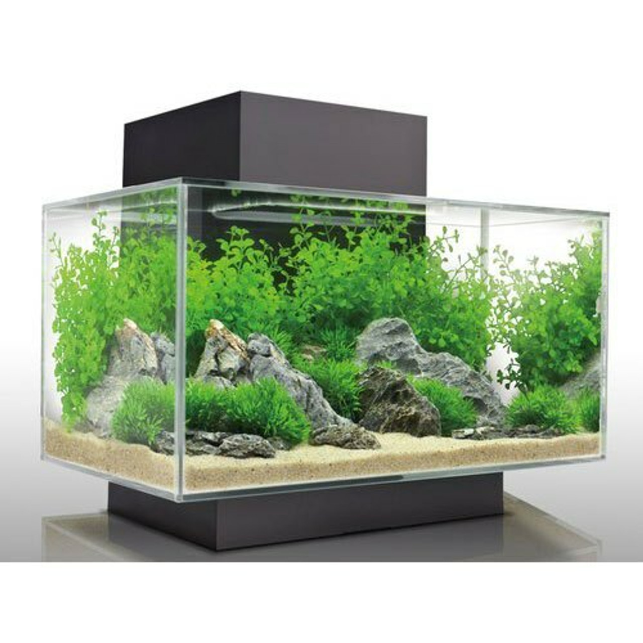 Glass & Acryclic Aquariums