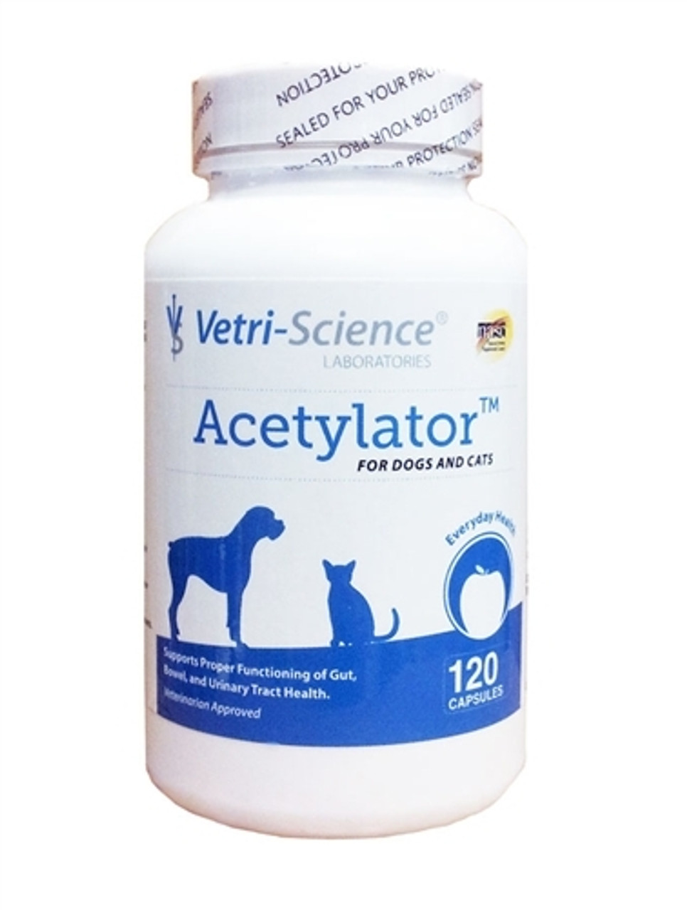 Acetylator Acetylator