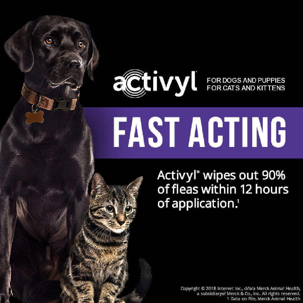 Activyl Spot-On for Dogs Cats