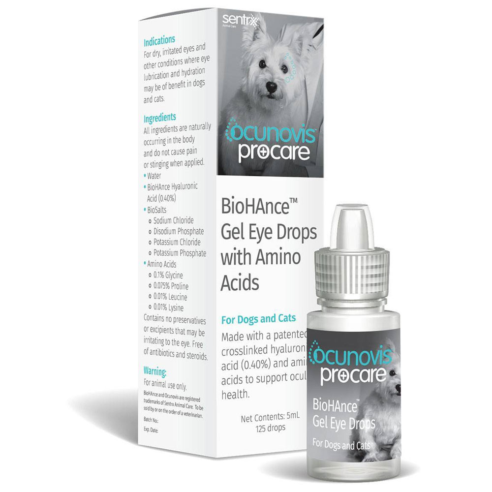 Dry Eye Infection My Dog Ate Prescription Eye Drops Dog