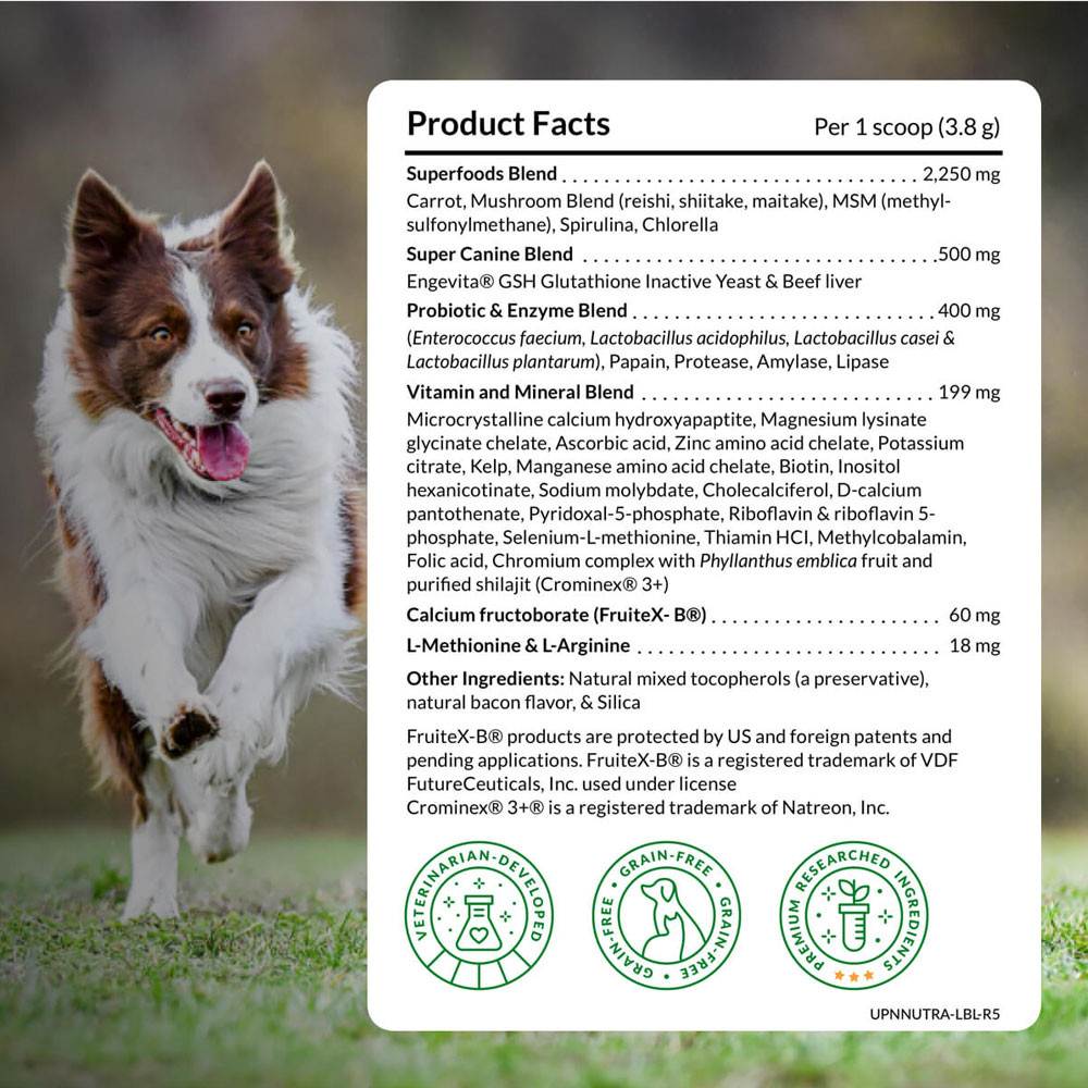buy royal canin renal dog food Royal Canin Renal Special Adult Wet Dog Food In Loaf