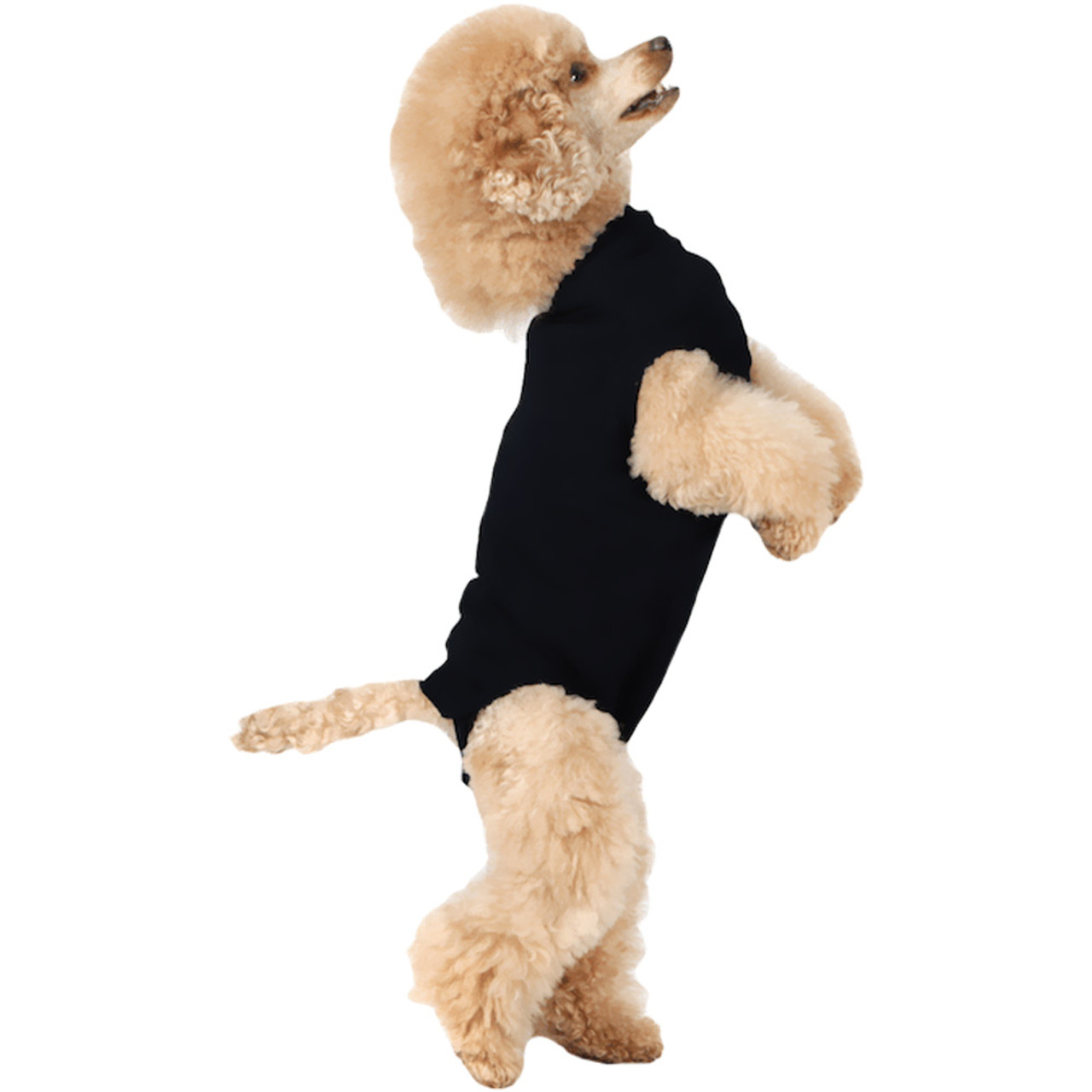 Suitical Recovery Suit For Cats
