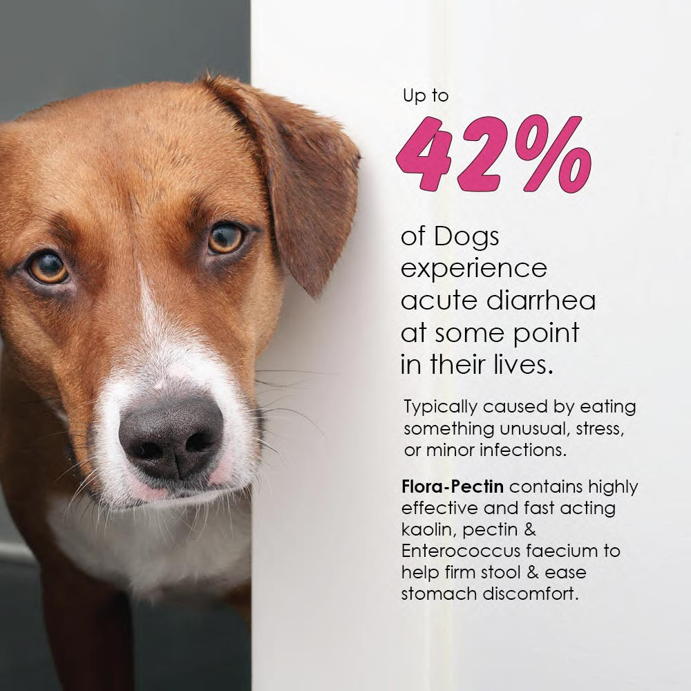 Flora-Pectin Loose Stool Diarrhea Oral Paste for Dogs Cats