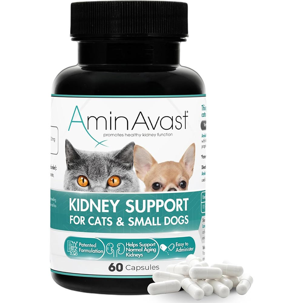 AminAvast 健康サポートサプリメント 60カプセル AminAvast Kidney Support