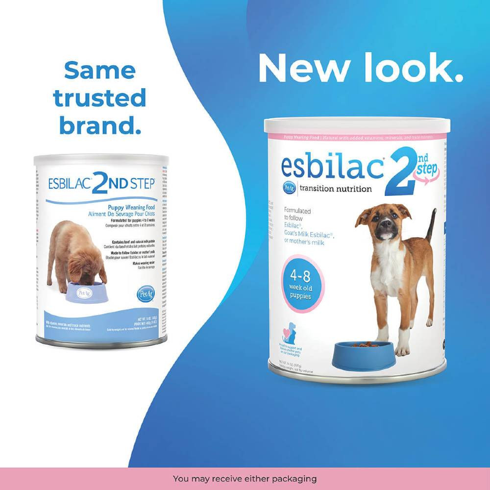 Weaning Can Week Old Puppies Drink Water New Puppy Care: 0-7 Weeks