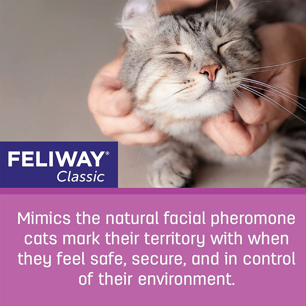 Feliway Spray Do Cat Diffusers Work Feliway Pheromone Spray