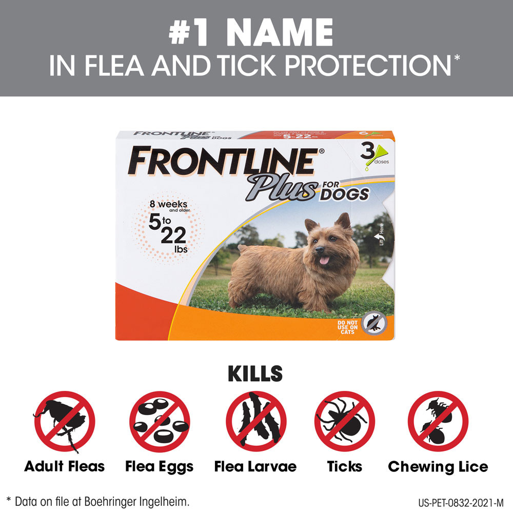 Dog Flea Treatment Frontline Plus For Dogs Amazon FRONTLINE PLUS