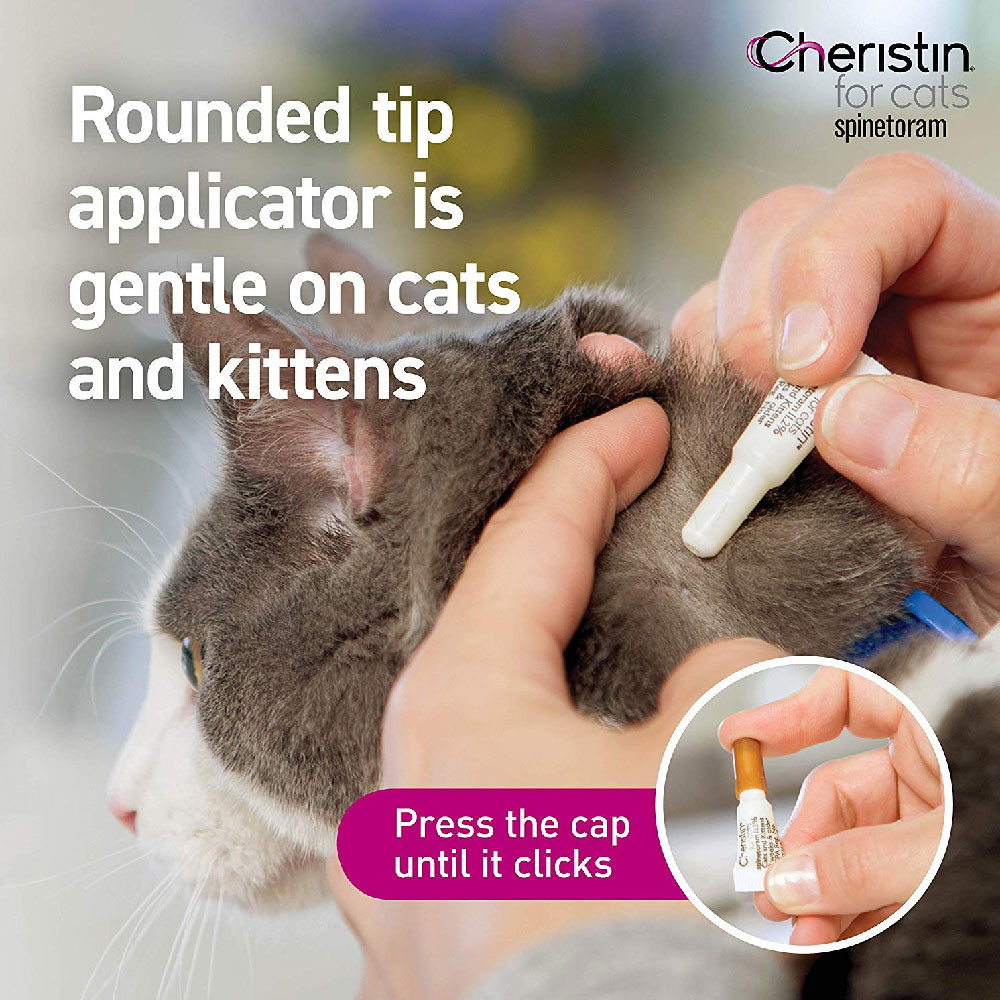 Cheristin for Cats