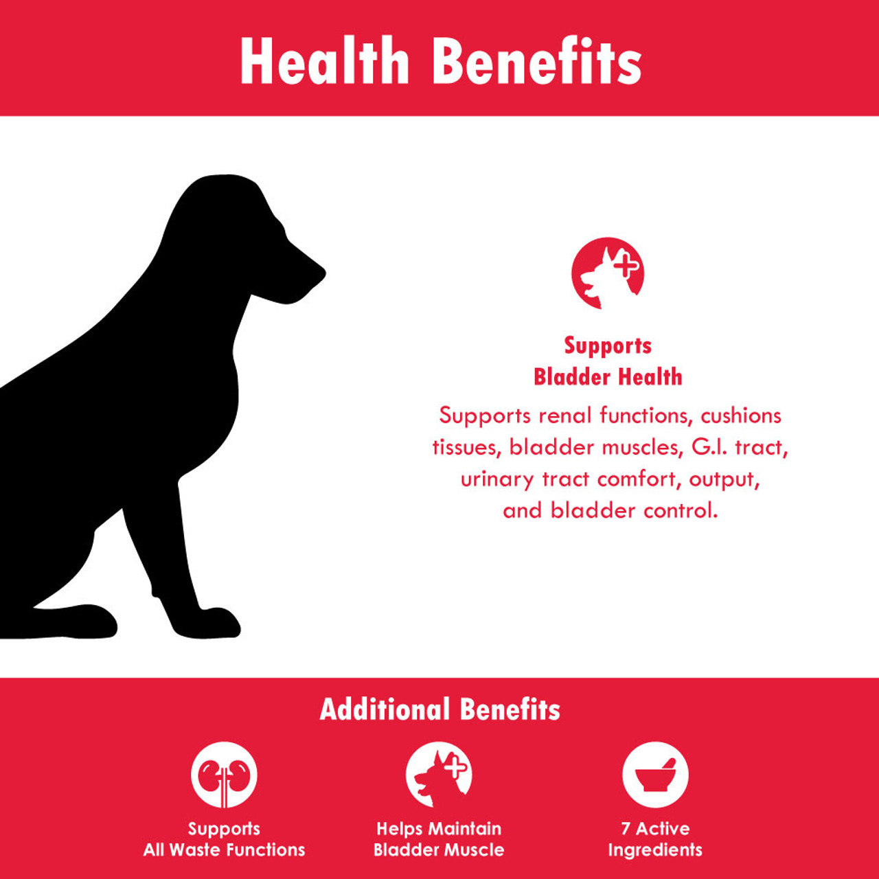 bladder supplements dogs - URINARY TRACT SUPPORT FOR DOGS 2B- corn silk for  dogs