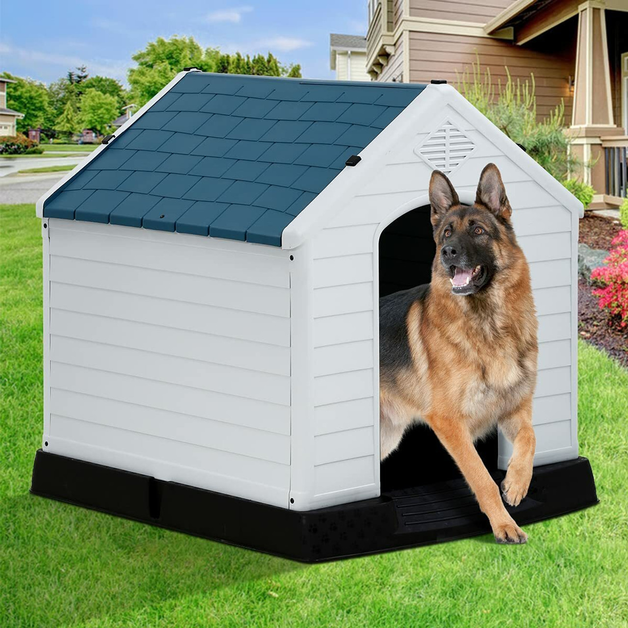 Dog House