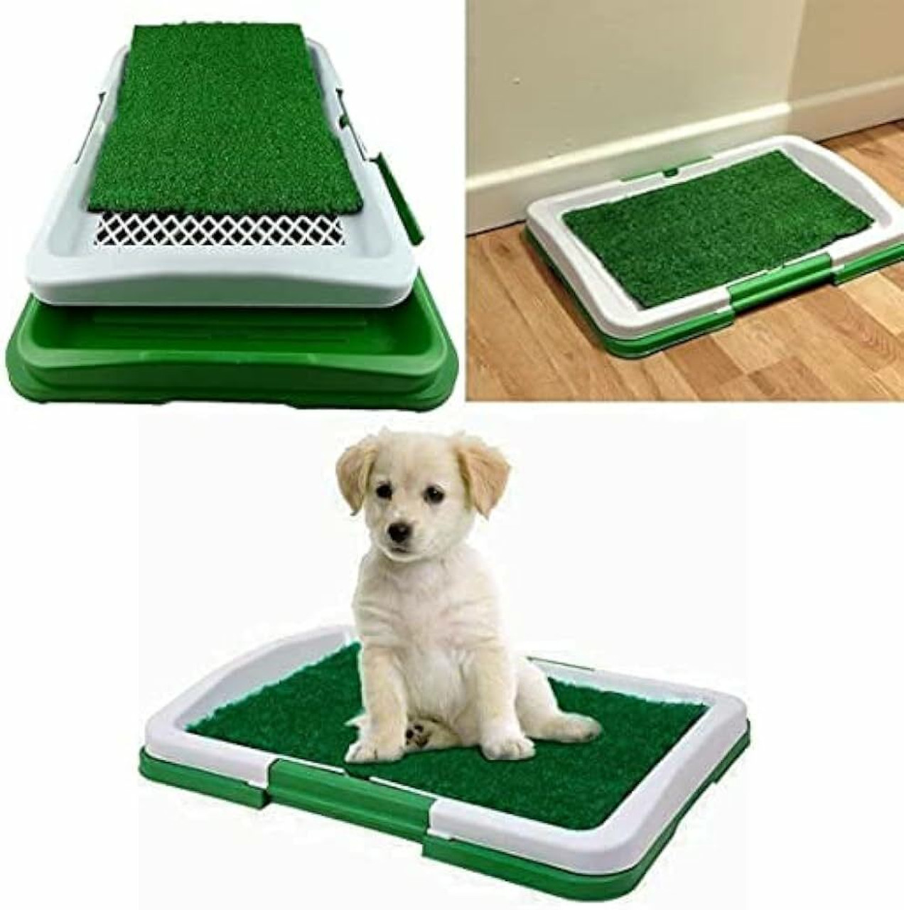 Potty Training Accessories Potty Training Accessories