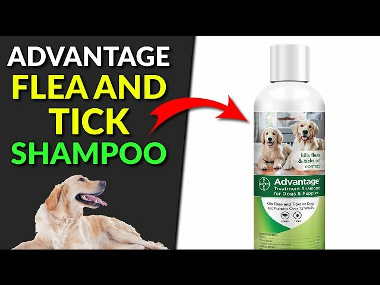 Advantage Treatment Shampoos for Dogs Advantage Treatment Shampoos for Dogs
