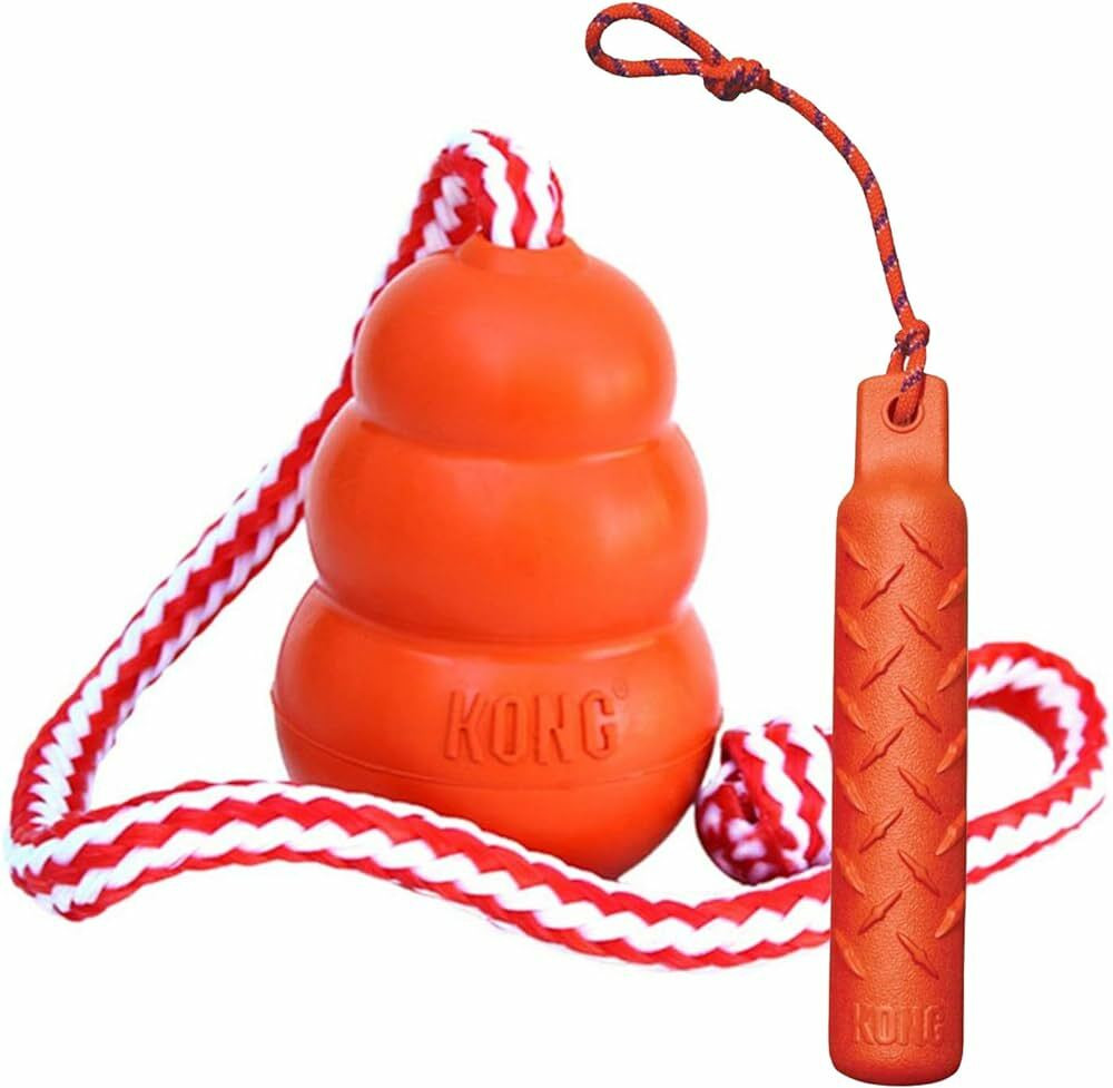 Kong Training Dummy
