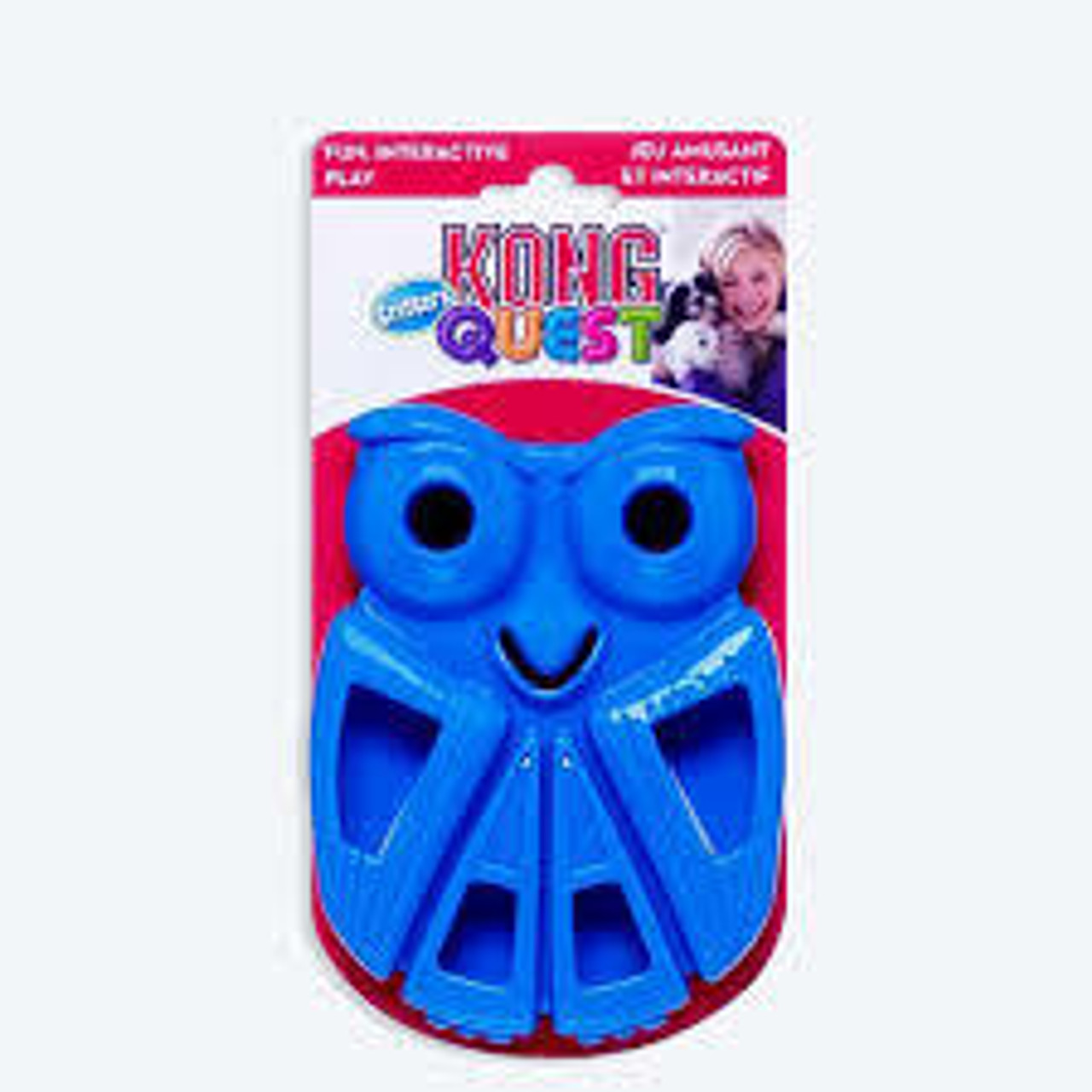 Kong Quest