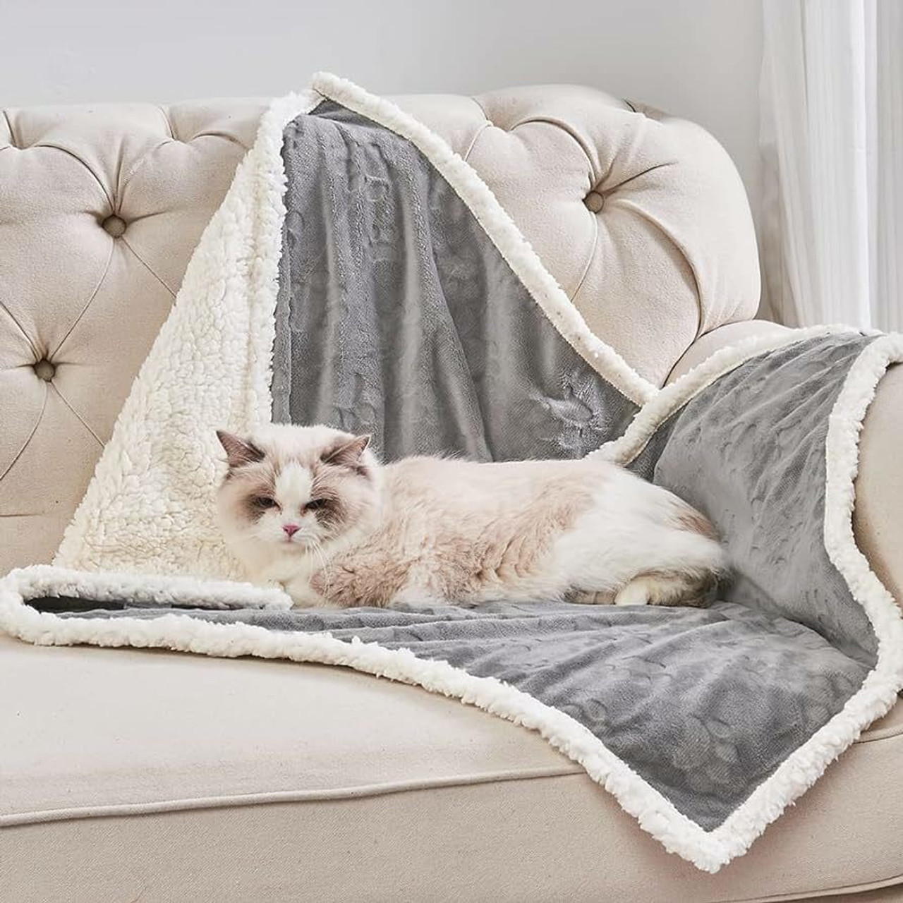 Blanket & Throws Blanket & Throws