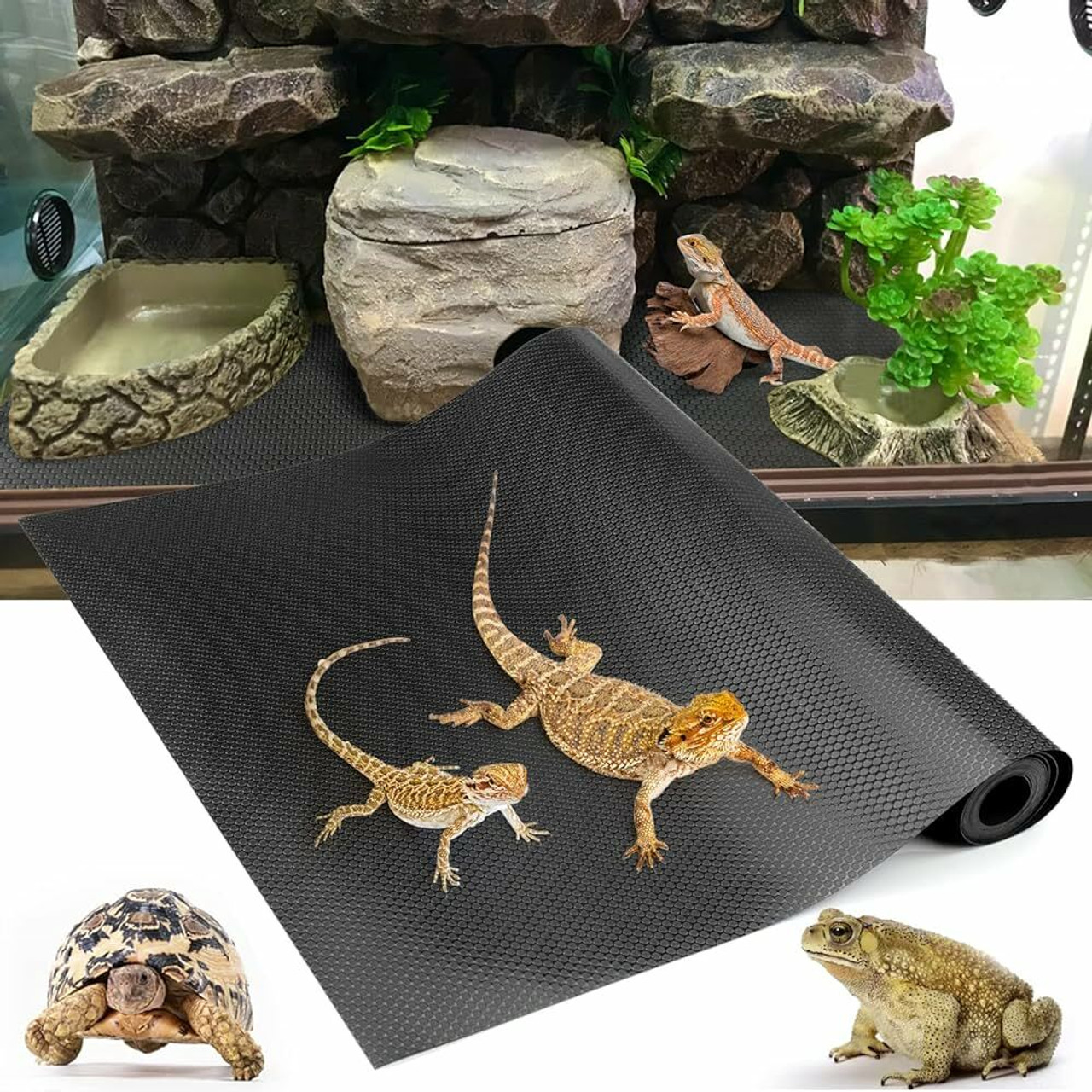 Accessories Accessories
