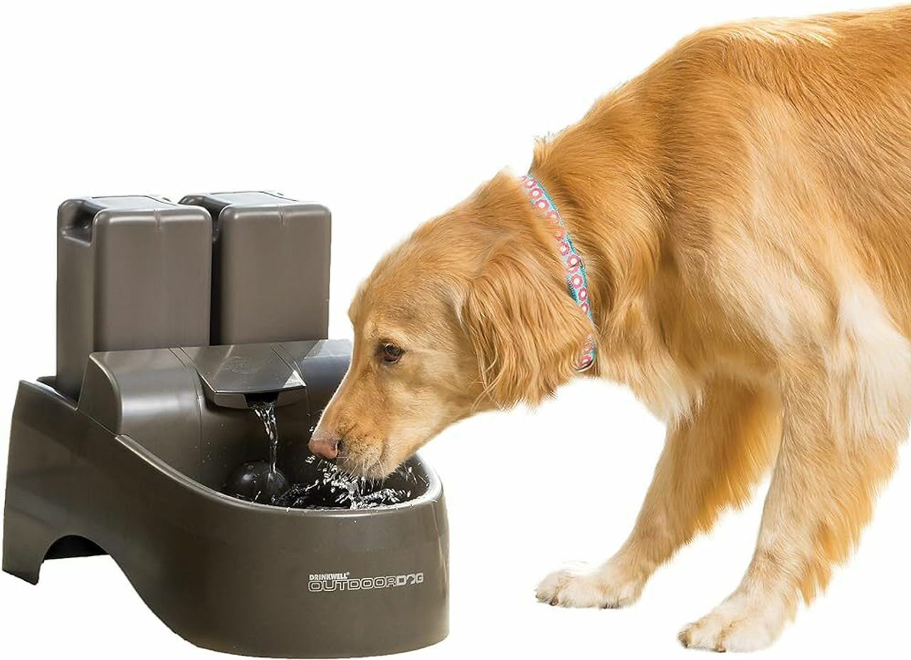 Waterer & Water Fountains