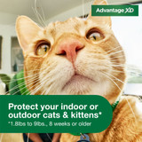 Advantage XD Flea Control for Small Cats, 1.8 lbs - 9 lbs, 4-Dose (8 month supply)