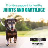 Nutramax Dasuquin Joint Supplement Soft Chews for Dogs