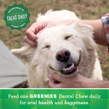 Greenies Original Dental Chew Dog Treats - Teenie 6oz (22 Bones)