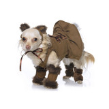 Leg Avenue 3 PC. Cuddly Lion Pup Costume - Medium