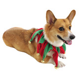 Pet Works Holiday Jester Collar with Bells - Small