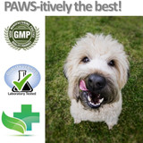 Vet Worthy Joint Support Level 4 Chew Tabs (90 ct)