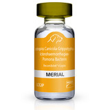 Recombitek for Dogs - 4 Lepto (LCGIP), 50x1 dose - [Vaccine]