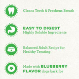 Greenies ScaryBerry Blueberry Flavor Halloween Dental Chew Dog Treat - Petite 6oz (10 Bones)