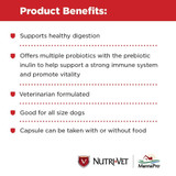 Nutri-Vet Probiotics for Dogs (60 Chewables)