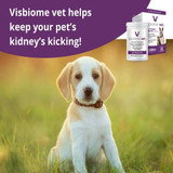 Visbiome Vet High Potency Probiotics for Pets