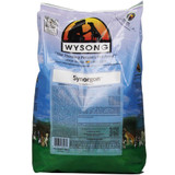 Wysong Synorgon Natural Dog Food (5 lb)