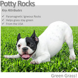 Vet Worthy Potty Rocks for Dogs (200 Grams)
