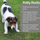 Vet Worthy Potty Rocks for Dogs (200 Grams)