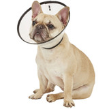 Safety Elizabethan Collar, 19 - 25 (30cm Depth)