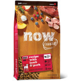 Petcurean Now Fresh Adult Dog Food - Red Meat (25 lb)