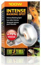 Exo Terra Intense Basking Spot Lamp (100 W)