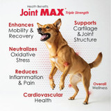 Joint Max Liquid for Dogs and Cats