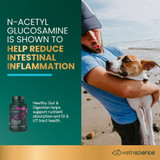 VetriScience Acetylator - For Cats and Dogs (120 capsules)