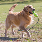 KONG Airdog Squeaker Fetch Stick - Large